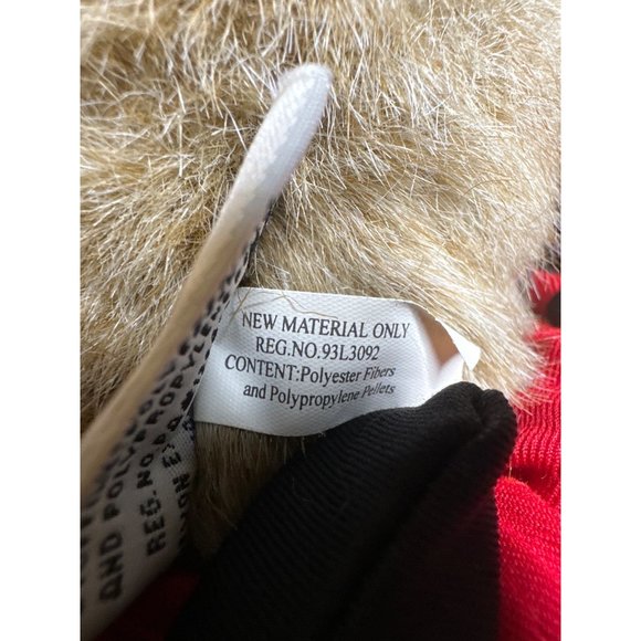 NASCAR Dale Earnhardt JR Collectors Bear - Picture 4 of 8